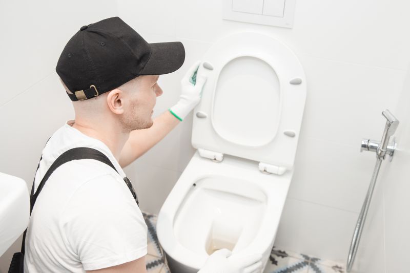 Commercial Toilet Repair detail