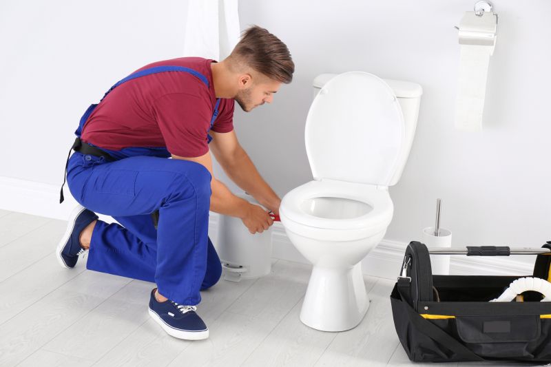Toilet Removal