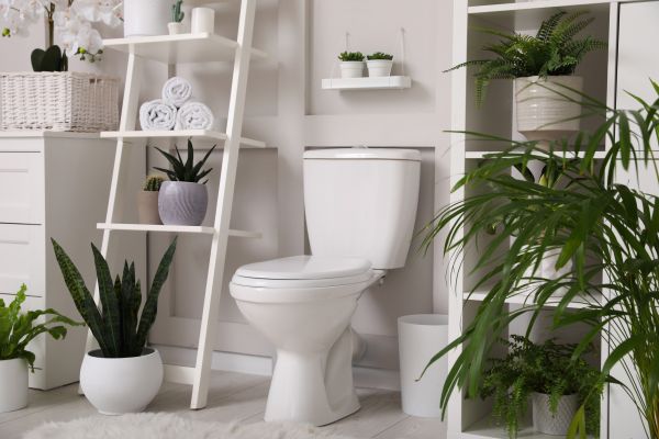 Cost of Toilet Repair in Hamburg