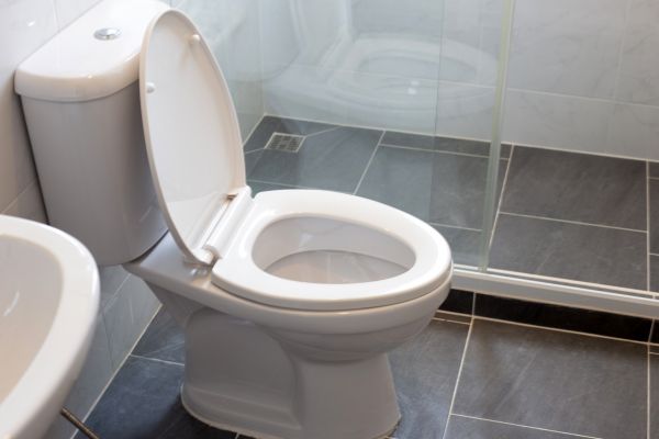 Cost of Toilet Replacement in Hamburg