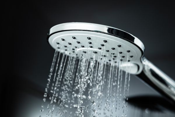 Cost of Shower Head Replacement in Hamburg