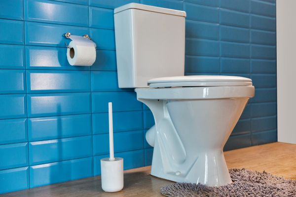 Cost of Toilet Tank Repair in Hamburg