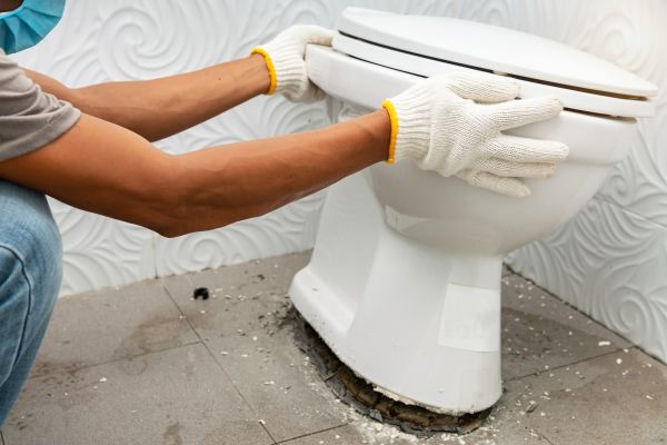 Cost of Toilet Removal in Hamburg