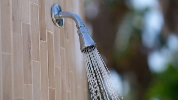 Cost of Showerhead Repair in Hamburg