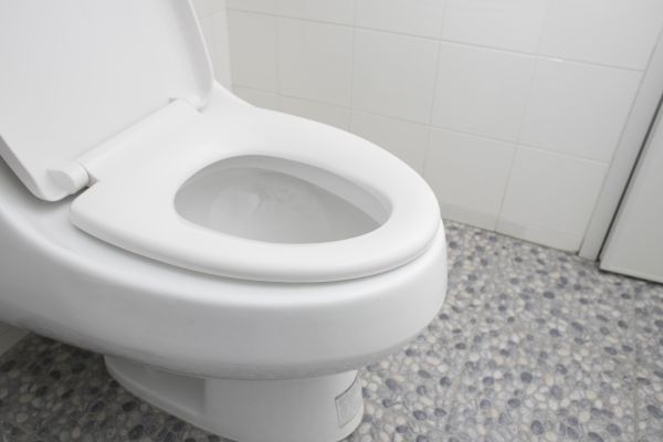 Cost of New Toilet Installation in Hamburg